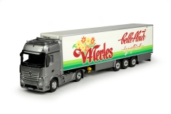 Mod 084050A/Mertes Belle Fleur