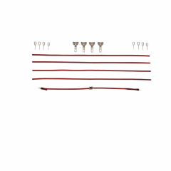 Set Red Load Straps + hook (5)